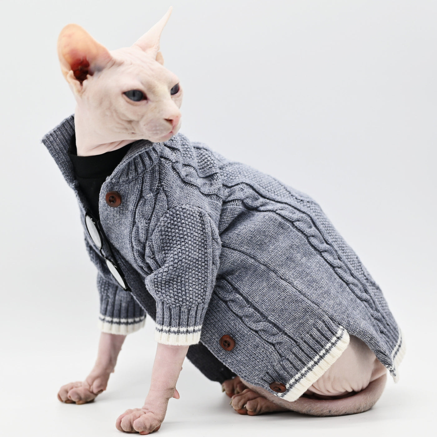 Cats Clothes