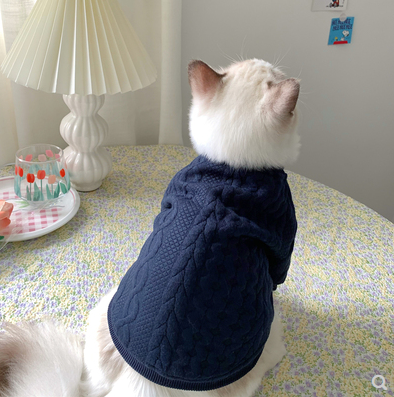 Warm And Cute Clothes For Pets Feet