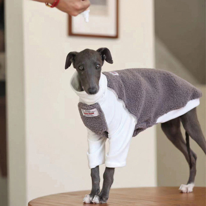 Small And Medium Dog Clothes Whybit Greyhound Accessories