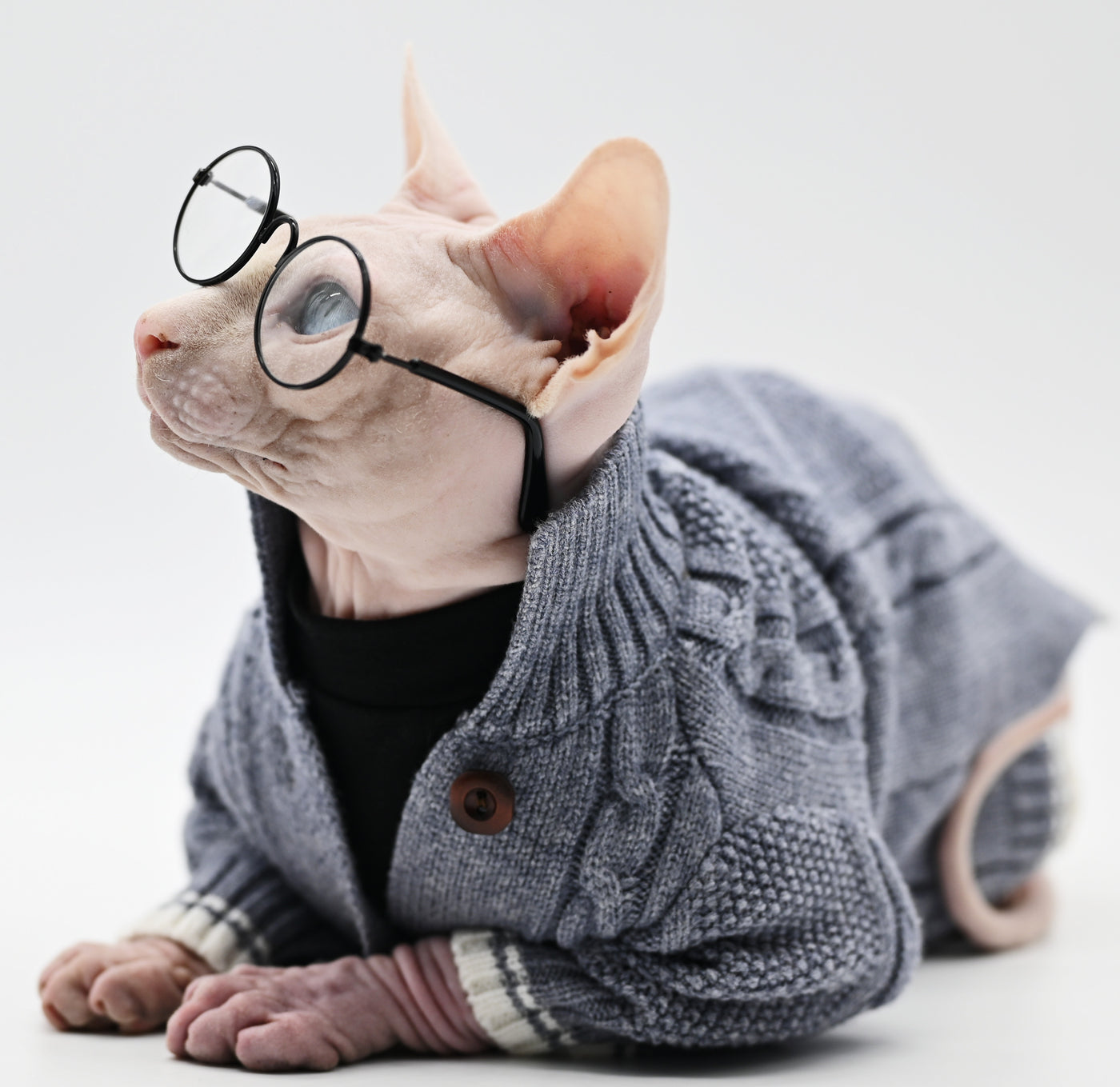 Pure Cotton Knitted Soft Fabric Hairless Cat Sweater